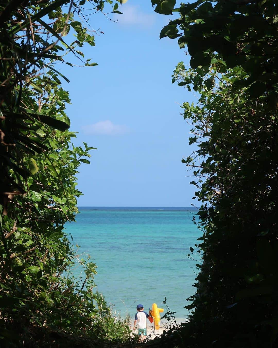 花盛友里さんのインスタグラム写真 - (花盛友里Instagram)「あー沖縄に行きたいよおおおお。 今年も行こうと思ってたのに行けなさそうだよなぁ、悲しいなぁ、悲しすぎるなぁ。 また行ったら絶対絶対この宿に泊まりたい。 石垣島のナータビーチビラ。 ど田舎すぎて電波も届かないんだけど、それがとてもよかった。 すぐ裏にある海に毎日行って、夜は毎晩天の川の見て、携帯もパソコンも全く見ずに過ごす1週間は本当にデトックスできたなぁ。 犬も猫もいて、子供たちもすんごく楽しそうだった。 夜は他の部屋の人とか宿の人とBBQしたり、ヤドカリを探しに行ったり。  いつまたいけるんでしょうか。ううう」8月8日 13時33分 - yurihanamori