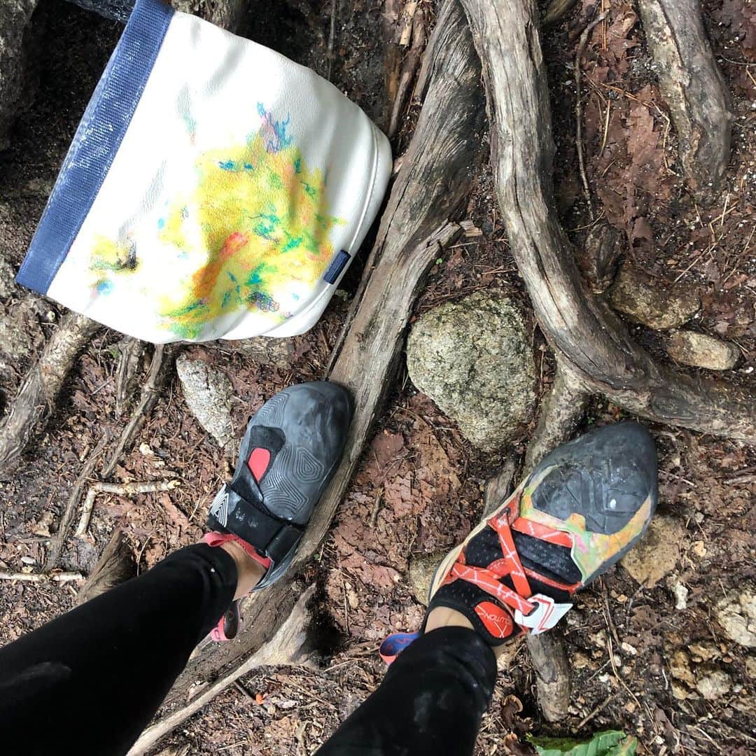 白數里子さんのインスタグラム写真 - (白數里子Instagram)「先日の小川山。  セオリーを岩でも使ってみてるけど、すごくいい。 弾く感じがないし、柔らかいけどエッジがあるので岩のシビアな足も拾える。  ヒールはまだソリューションに慣れているから、左右で分けて、忘却の河をトライ。 繋げる所が難しいなぁ。  ここは居心地いいし、夏でも涼しいから、小川山来たらしばらくこの課題をやろうかな。  @icebreakerjp  @lasportivajp  @eyecandyworks  @e9clothing_official」8月8日 19時25分 - satopoppo1124