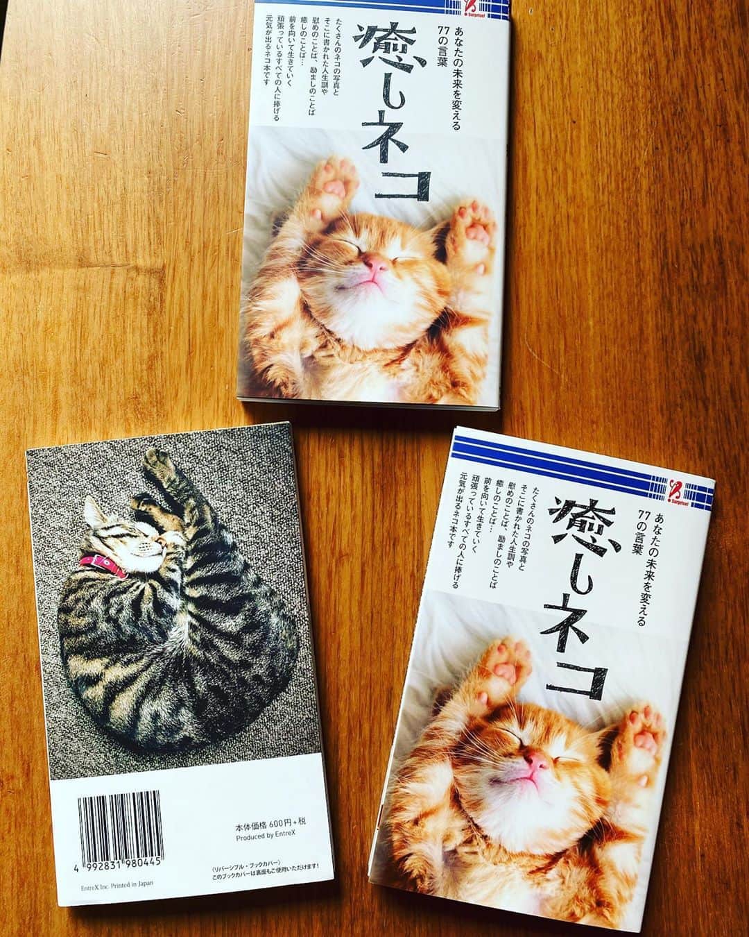 田中杏子さんのインスタグラム写真 - (田中杏子Instagram)「癒しネコ　ポケットサイズ版が出ましたー㊗️ 今回の裏表紙は、ベニです。 中に、ベニや姉妹宅のの猫ちゃんも入ってます🐱  ファミリーマートで購入できます🎈  #beni_neko #ねこ #癒しネコ」8月8日 14時00分 - akoakotanaka
