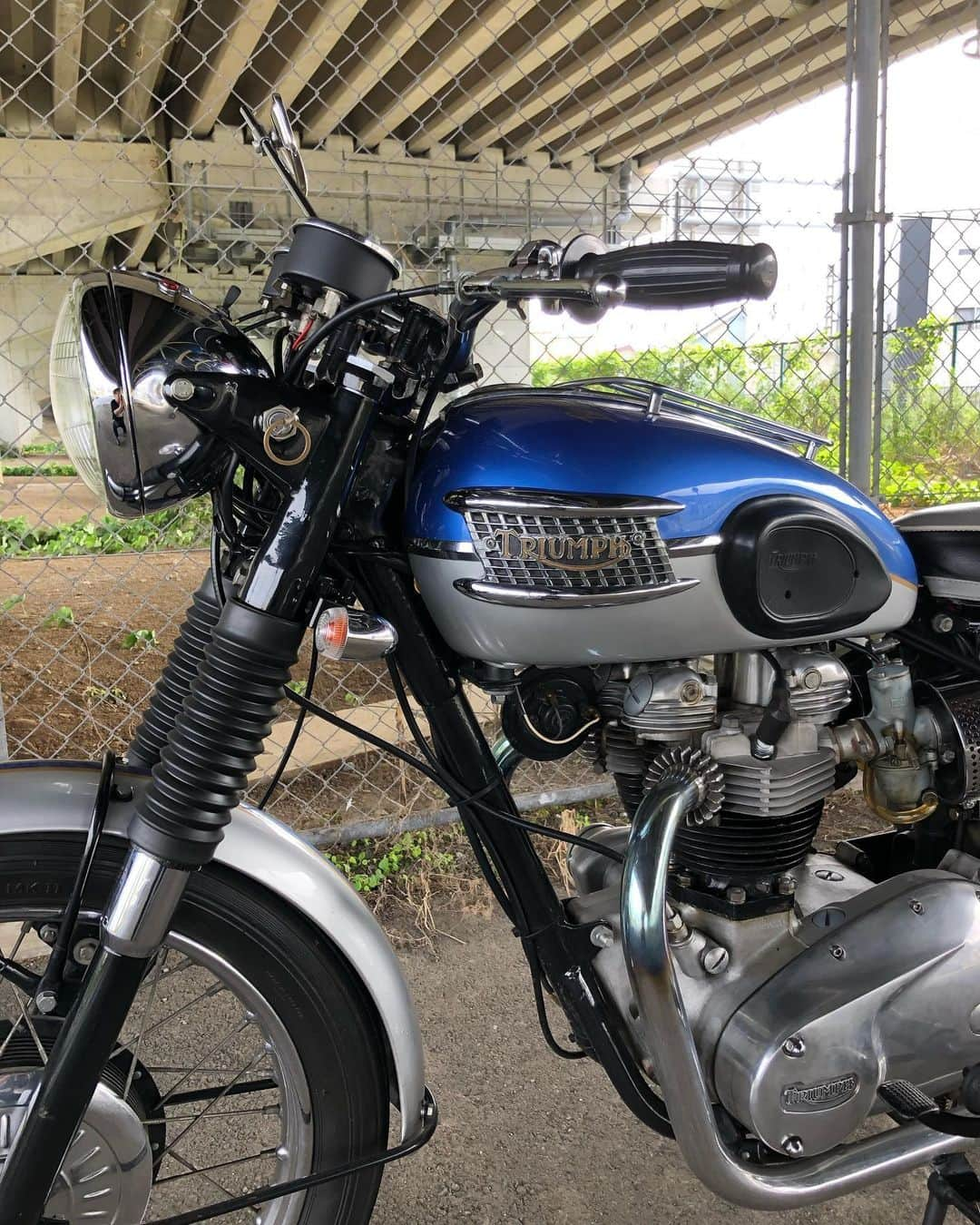 KIYOさんのインスタグラム写真 - (KIYOInstagram)「久しぶりにボニーで走りに出た。#1965 #triumph #t120r #bonneville #60s #1960s #650twin #amalcarb #bikestagram #bonnie #britbike #britishmotorcycles #caferacer #classicmotorcycles #classicbike #edwardturner #lewisleathers #madeinengland #modsvsrockers #ohv #paralleltwin #rocker #rockers #unitconstruction #t120 #tonup #tonupboys #triumphmotorcycles #vintagetriumph」8月8日 14時50分 - kiriko009