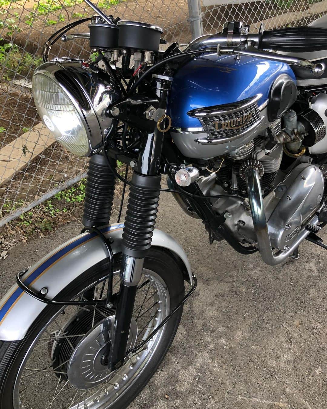 KIYOさんのインスタグラム写真 - (KIYOInstagram)「久しぶりにボニーで走りに出た。#1965 #triumph #t120r #bonneville #60s #1960s #650twin #amalcarb #bikestagram #bonnie #britbike #britishmotorcycles #caferacer #classicmotorcycles #classicbike #edwardturner #lewisleathers #madeinengland #modsvsrockers #ohv #paralleltwin #rocker #rockers #unitconstruction #t120 #tonup #tonupboys #triumphmotorcycles #vintagetriumph」8月8日 14時50分 - kiriko009