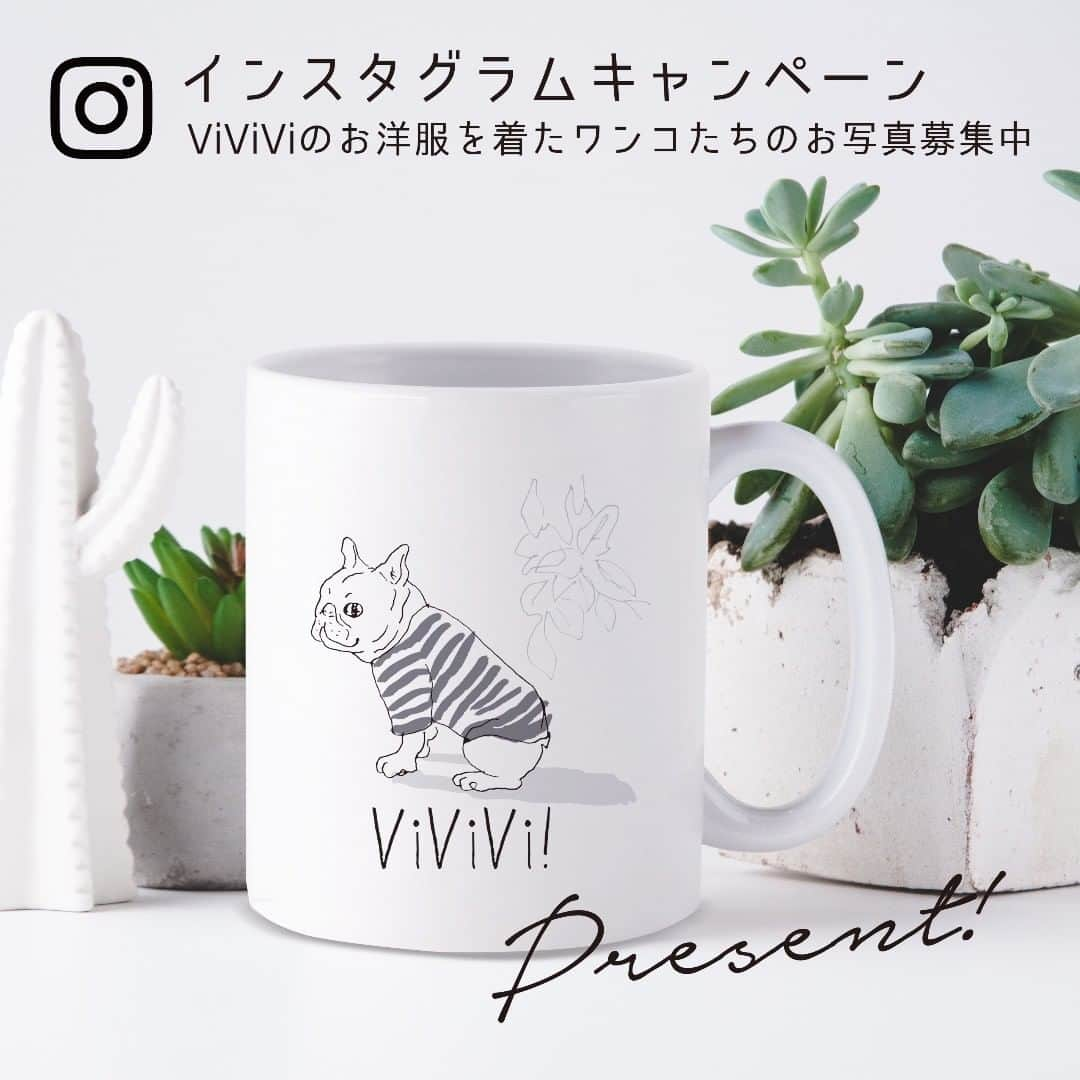 wow!-onlineさんのインスタグラム写真 - (wow!-onlineInstagram)「【キャンペーンのお知らせ】 インスタグラムキャンペーン  ViViViのお洋服を着たワンコたちのお写真募集中❣️  お買い上げ頂いた、ViViVi のお洋服を着たあなたの可愛いワンちゃんの写真を撮影して InstagramのDMもしくはメール（vivi@sumodesign.jp）宛に、ぜひお送りください！ お送りいただいたワンちゃんのお写真を、Instagramにてご紹介！ ご購入・お写真をお送り頂いた方から、毎月抽選で「オリジナルフレブルマグカップ」をプレゼントいたします！�  タグ付けを行って欲しい場合は、ワンちゃんのお名前とアカウント名を記載してお送りください。 プレゼントの配送は、インスタグラムにてご連絡いたしますので、ViViViアカウントをフォローくださいね。 ※お客様の個人情報などは掲載いたしませんのでご安心ください。  #ViViVi #instafrenchie  #instafrenchies  #frenchiephotos  #フレブル  #ブリンドル  #ブヒ  #フレンチブルドッグ  #フレブルのいる生活 #bulldog  #doglove  #frenchielove #frenchielife  #buhi  #lovemydog  #lovemydogs  #daily_frenchie  #frenchies1b  #프렌치불독」8月8日 15時28分 - vivivi_online_shop