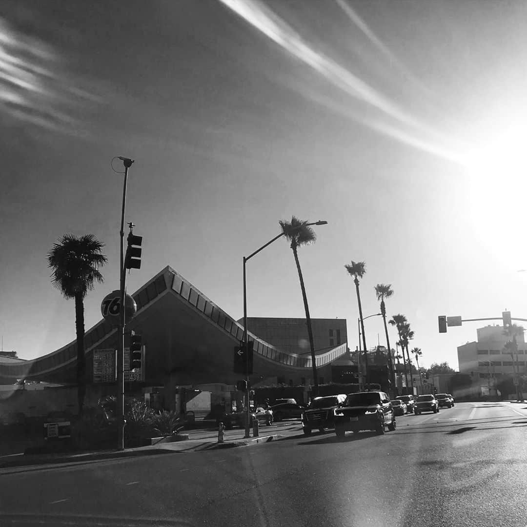 のインスタグラム：「🌴Los Angeles🌴 #LA#lifestyle #travel #fashion #beauty #risahirako#平子理沙」