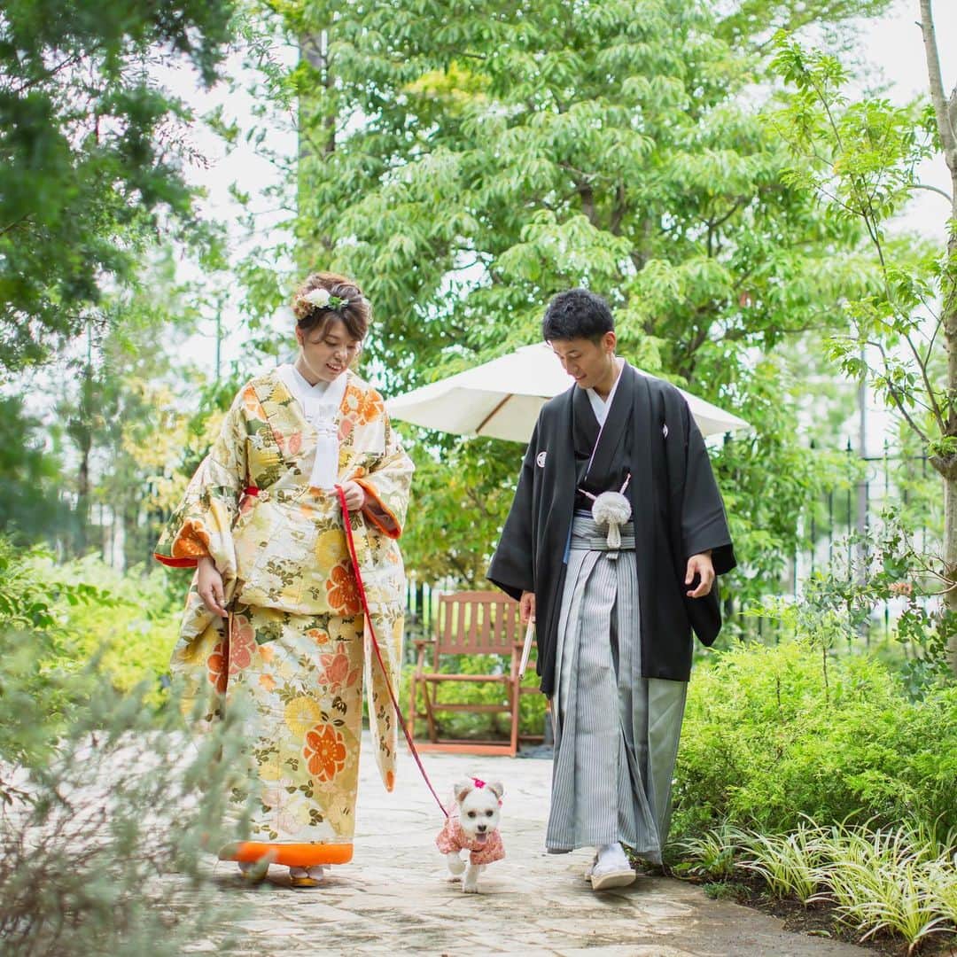 のインスタグラム：「わんちゃんも大事な家族✨ 和装で一緒に前撮りをしました📷 . #チェルシーコート #ガーデンウエディング #前撮り#プロポーズ #プロポーズされました #ゼクシィ #forest #ラスティックウエディング#ウエディングケーキ #グリーンウエディング #わんちゃんと一緒 #wedding #marryyou #花嫁 #diy #自然 #greenwedding #森ウエディング #2020秋婚#結婚式準備記録 #チャペル#greenwedding #green#ザチェルシーコートおゆみ野garden #チーム2020#forestwedding #night#指輪#結婚しました」