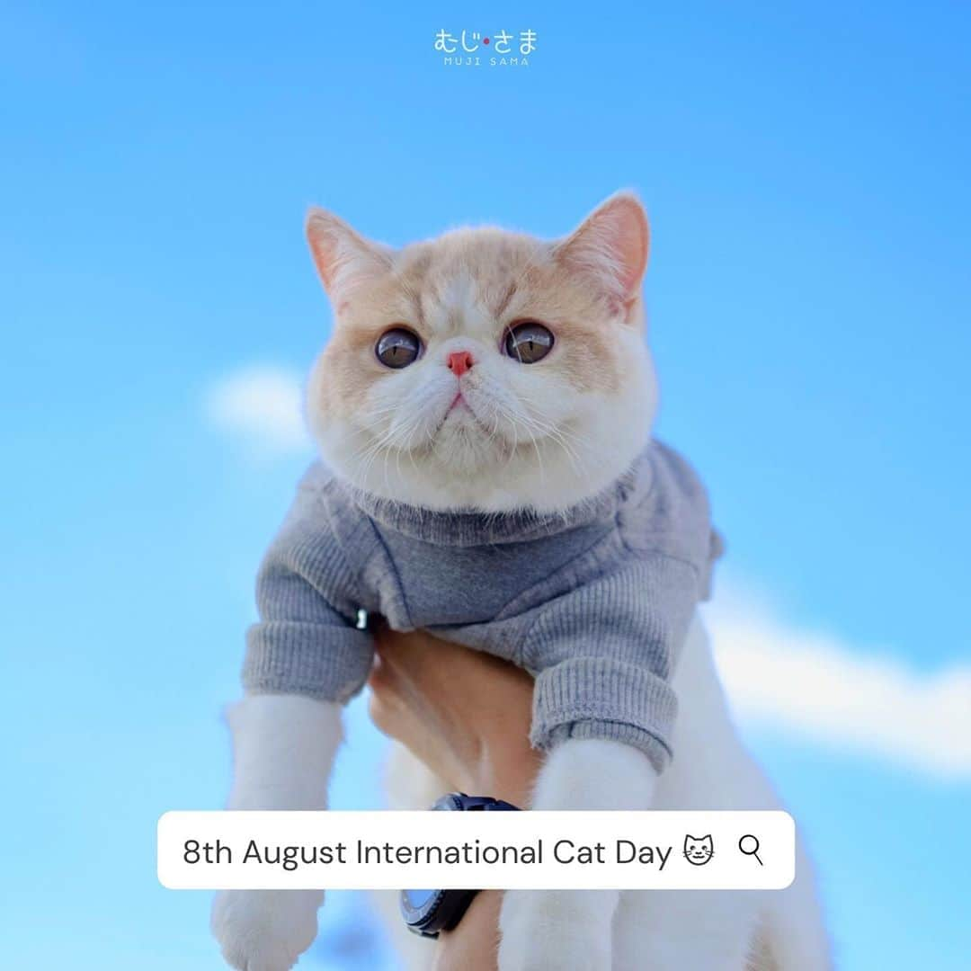 むじさまさんのインスタグラム写真 - (むじさまInstagram)「Happy International Cat Day ❣️」8月8日 16時35分 - mujisama