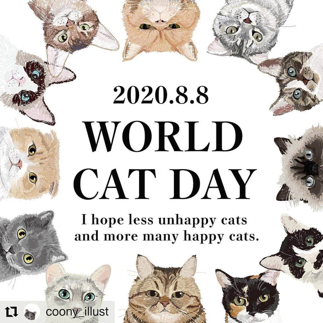 寅次郎（とらちゃん）さんのインスタグラム写真 - (寅次郎（とらちゃん）Instagram)「☆ 世界猫の日🐈💓 . 世界中の猫さんが幸せに暮らせますように。 . @coony_illust さんの投稿シェアさせて頂きますね✨ .. #Repost @coony_illust • • • • • • 今日は世界猫の日🌎🐱🇺🇸🇫🇷🇰🇷🇬🇧🇸🇪﻿  ふだん、私たちを幸せにしてくれる猫さん🐱 私たちを癒してくれる猫さん🐱 私たちを笑わせてくれる猫さん🐱 お世話になりっぱなしではありませんか💥 じゃぁそんな猫のために何ができるかって🤔 考えるきっかけは今日かも🙌  特に何するとかは決まってないので﻿ 私は情報発信をしたいと思います🐱💡  私もまだ保護猫さんについては勉強中なので PETOKOTOさんから拝借してみるよ✍️ @petokotolife   ====================================  日本の犬や猫の殺処分数は、犬が7687匹、 猫が3万757匹で合計3万8444匹（平成30年度 環境省）となっています。  数年前まで毎年10万匹以上殺処分されていたことから比べれば少なくなってはきていますが、それでもこれだけの犬や猫が殺されているのです。犬や猫は本来野生動物ではないので、ほとんどが人間の身勝手さによる殺処分といえるでしょう。  ====================================  猫の殺処分が圧倒的に多いのね75%😢しかもさらに詳しく調べてみたら猫の殺処分3万757匹のうち約2万匹はまだ小さい子猫たち😿一回の出産で生まれる数も犬とは違うからってのもあるとは思うけど、命の数には変わりないからこの数字をみると胸が痛みますね。。。でも、減っては来てるんだね👀前進してはいるけどまだまだ殺処分は減らせるから、いろんな方が頑張っているんだね。👀  じゃぁ、私たちが保護猫のためにできることってなんだろう🤔？﻿  🐱保護猫カフェに行ってみる 🐱保護猫募金がついた買い物をする 🐱保護猫ボランティアに寄付する 🐱保護猫ボランティアを探してみる﻿ 🐱保護猫ボランティア始めてみる 🐱保護猫を迎える﻿ 🐱この投稿をシェアする🔥おすすめ笑🔥﻿  他にもあるかな😶？（あったらコメントで教えてください🙋‍♀️）  改めて愛猫を甘やかすのもありー🙌 今日１日が皆さんと愛猫ちゃんにとって素敵な１日になりますように😌﻿ ﻿ 不幸な猫たちが減って、 ﻿ 幸せな猫たちが増えることを願っています😌﻿ ﻿ ﻿  #たまには真面目#猫イラスト#catillustration#worldcatday#世界猫の日#猫の日#catday#internationalcatday#猫#猫の日イベント#動物イラスト#動物愛護週間#保護猫#捨て猫#猫がいる暮らし#にゃんすたぐらむ#フェリシモ猫部#ねこねこチーズケーキ#猫好きさんと繋がりたい#猫可愛い#猫欲しい#里親募集中#愛猫家#猫#保護猫出身 #保護猫を家族に #保護猫祭 #ねこ」8月8日 16時59分 - torachanthecat