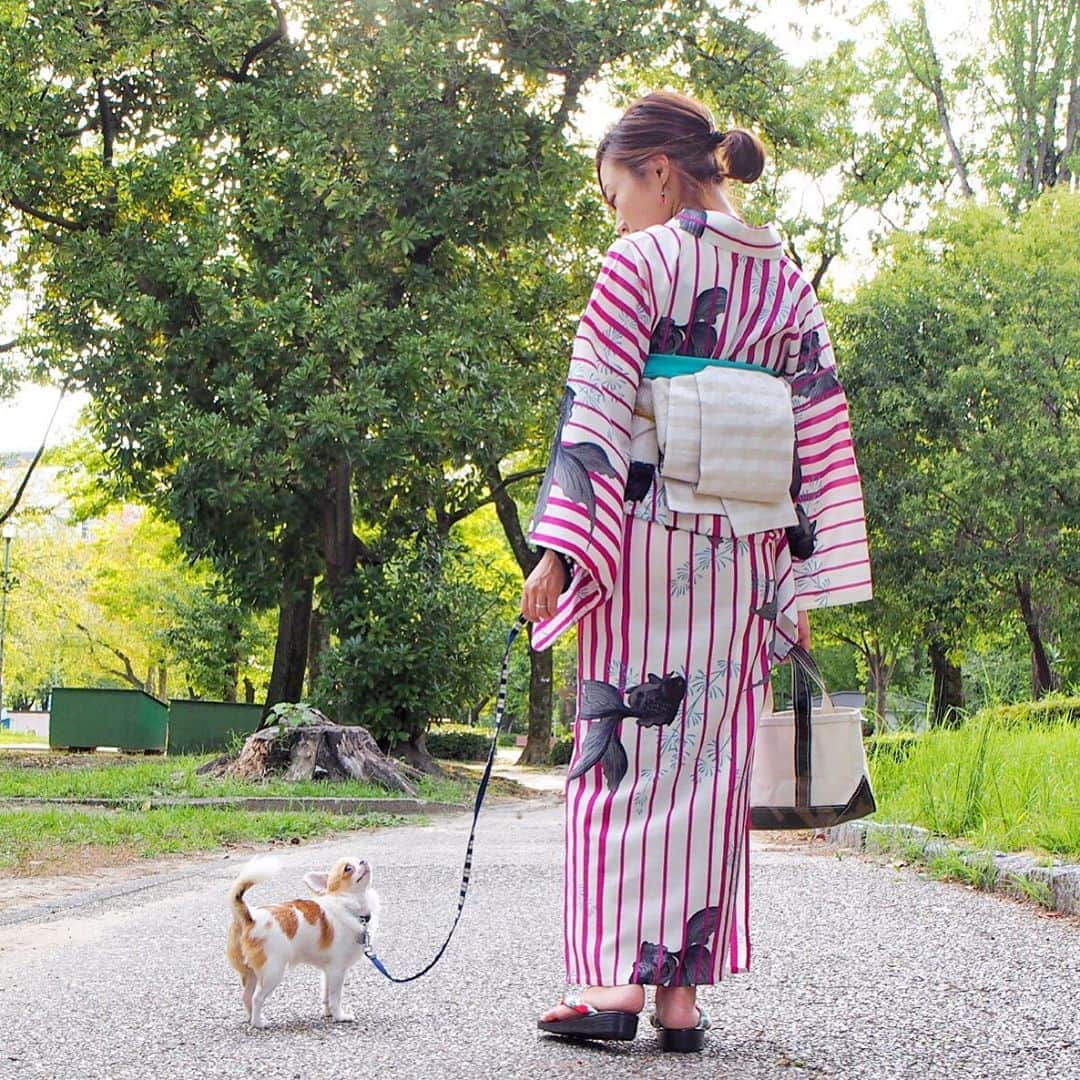 ちまのインスタグラム