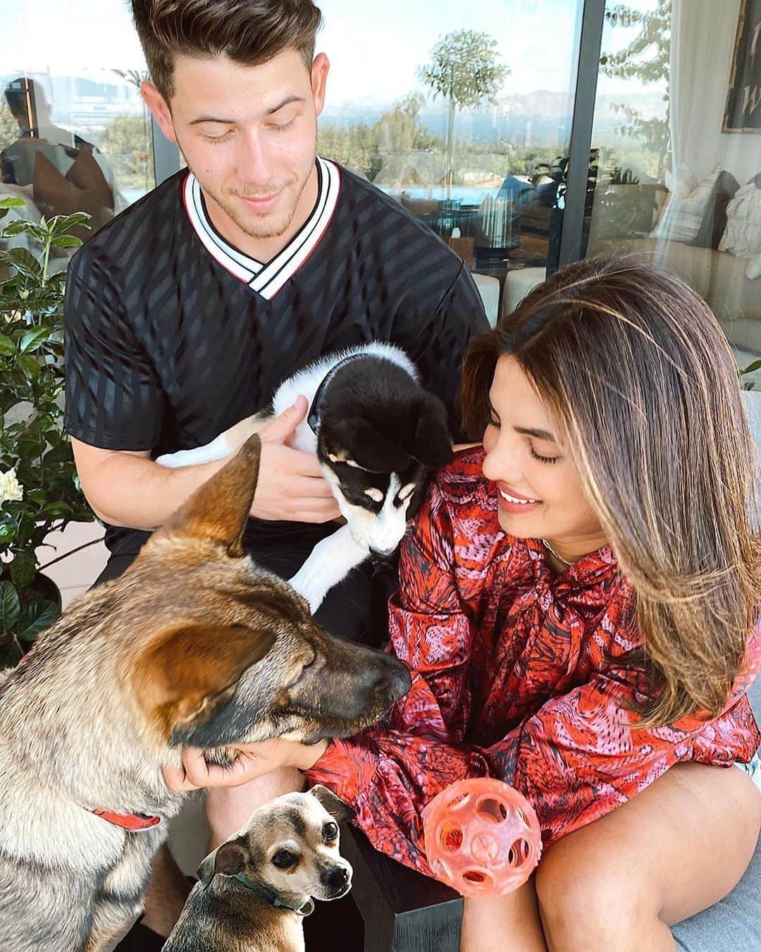 People Magazineさんのインスタグラム写真 - (People MagazineInstagram)「Meet Panda! 🐼🎉 Nick Jonas & Priyanka Chopra Jonas are now proud parents to a new puppy who was rescued from Hollywood Huskies, a nonprofit dog rescue for huskies and husky mixes saved from neglect, abuse and high-kill shelters in California. "We’re already in love ❤️," Nick said of the new addition.  #Regram @priyankachopra, @nickjonas」8月9日 4時33分 - people