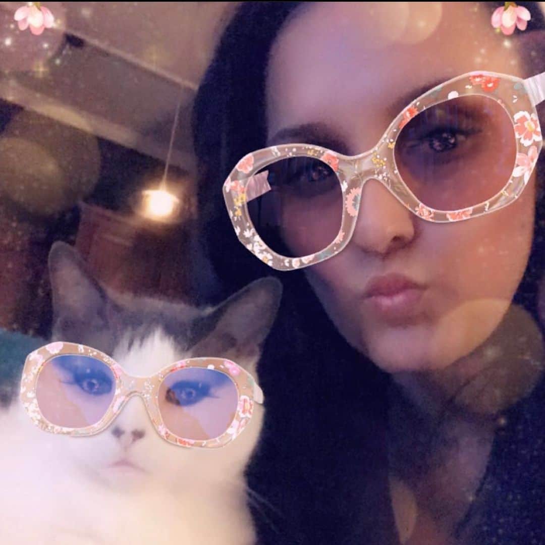 メリッサ・アンダーソンのインスタグラム：「#internationalcatday」