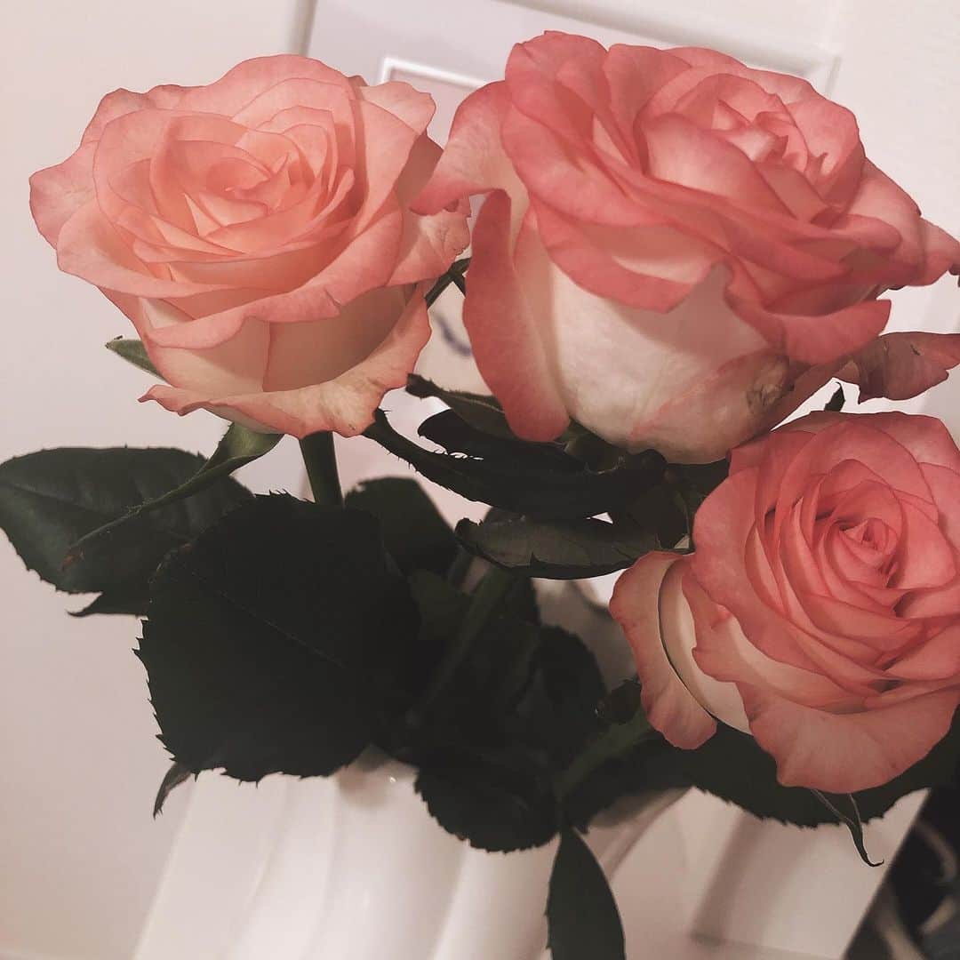皆方由衣さんのインスタグラム写真 - (皆方由衣Instagram)「ぴんくのお色に ひとめぼれ。  はぁ。かわいい。  #お花のある暮らし  #薔薇 #rose」8月8日 19時46分 - yuiminakata