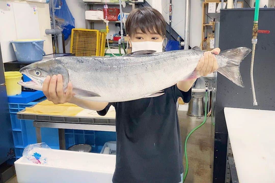 スーパーナブラのインスタグラム：「． ． きれいな鮭でしょ😊 もちろんイクラでパンパンですよ✨ ． 今夜のライブはアキアジです💕 ． 夕方にイクラを漬けました！ ． 去年知床の水産会社さんで イクラの漬け方習ったのに 何かが違う(何かを忘れてる)💦 ． 旨くなってるといいのだけど ． 網走の遊漁船の船長が漬けたイクラ 旨かったなあ🤤 ． ． 🐟お知らせ🐟 【今夜21時00分】 スーパーナブラチャンネルで 生配信ライブをさせていただきます✨ ． ． #鮭#イカ#エギング#青森#北海道#札幌 #東北#風景#海#温泉#旅館#ホテル #グルメ#露天風呂#GW#車中泊 #景色#釣り#ブラックバス#マグロ #発見#おでかけ#女子旅#ツーリング#魚 #自然#釣り#釣りガール#YouTube#」