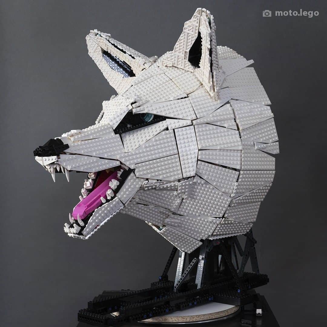 LEGOさんのインスタグラム写真 - (LEGOInstagram)「This is simply incredible! #RebuildTheWorld​ #LEGO #Animals #Wolf  📸 @moto.lego」8月8日 20時00分 - lego