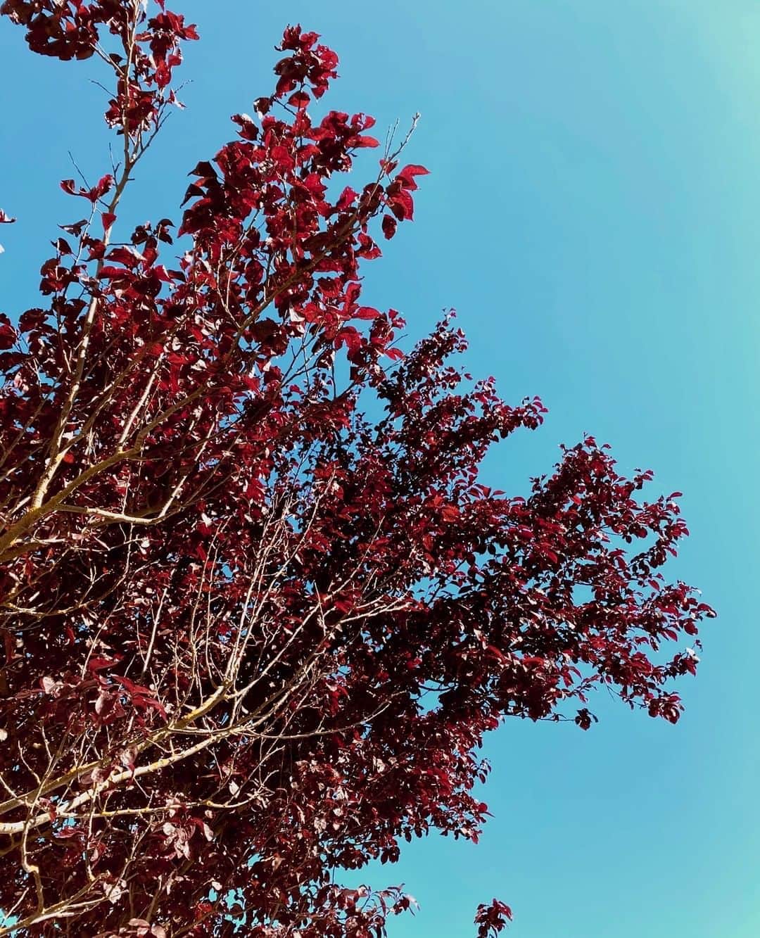 のインスタグラム：「Nature inspiration. New Pre-fall 2020 - Coming soon! ⁠ #WeAreSerafini #SerafiniShoes⁠ .⁠ .⁠ .⁠ .⁠ #preview #prefall #2020collection #newin #newcampaign ⁠ #italianstyle #italianshoes #italiandesign #stileitaliano #designitaliano #scarpeitaliane #nature #tuscany #inspiration #mood #sneakers #shoes #fashion #sneaker #sneakersaddict #style #sneakerheads #streetwear #ootd #igsneakercommunity  #sneakerholics #sneakerfreaker #shoesaddict」