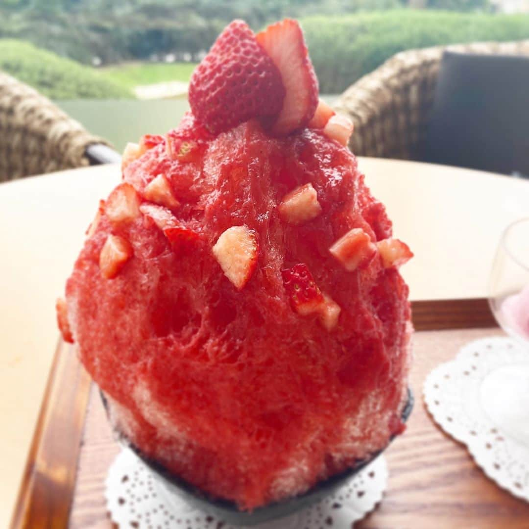 由良朱合さんのインスタグラム写真 - (由良朱合Instagram)「苺が濃くておいしかった 🍓  #広島#宇品 #広島カフェ#グランドプリンスホテル広島 #広島ランチ#広島ランチ巡り#かき氷#広島観光 #広島かき氷 #かき氷巡り  #instagood #instalike #instagram #japanesegirl #gravure#photography #flowers #fff#水着 #셀카#뷰티스타그램#셀카그램#좋아요#팔로우 #粉我」8月8日 20時05分 - yura0312akari