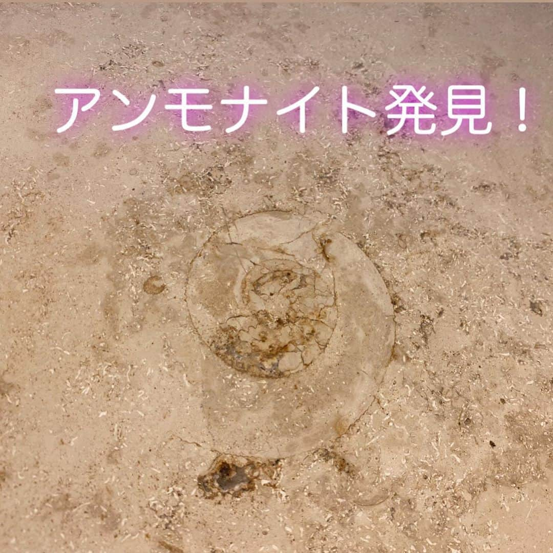 佐藤彩さんのインスタグラム写真 - (佐藤彩Instagram)「札幌市内で見つけられる化石😳！  昨日の街角ネクストフォーカスでご紹介しました😊  札幌市内のさまざまな場所で、大理石に化石が埋まっている場所が😳！ 街中で化石を見つけて楽しむこともできるのです！  写真のアンモナイトの化石は、 地下歩行空間の4番出口の柱で見つけたもの🐌 赤レンガテラスにつながる出口付近…あんなに身近な場所に😳！  このほかにも、札幌三越の1階床でも、たくさんの巻貝の化石を見つけることができます！  インフォメーションのお姉さんに尋ねたら、すぐに教えてくれました😊 ライオン像のある入口の近くにもあるので、怪しい人にならない程度に探してみてください。笑  #札幌 #札幌化石 #化石探し #見つける楽しみ #街中で化石発見 #チカホ #札幌三越 #アンモナイト #巻貝 #大人の自由研究 #楽しみはいろんなところに  #札幌街めぐり #遥か昔に想いを馳せる  #HBCラジオ #朝刊さくらい #街角ネクストフォーカス #HBC #北海道放送 #アナウンサー #佐藤彩」8月8日 20時24分 - hbc_ayasato