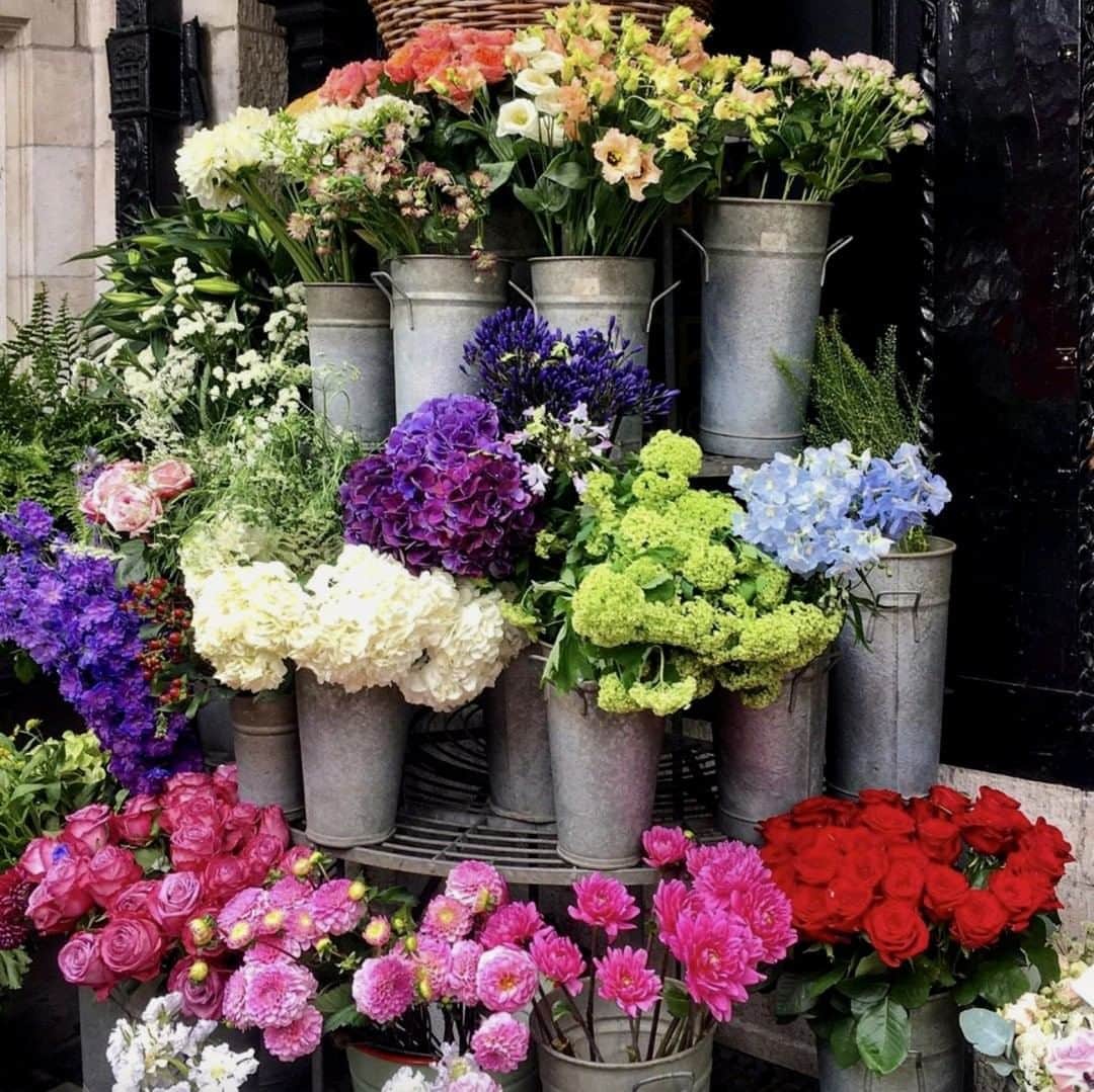 リバティオブロンドンさんのインスタグラム写真 - (リバティオブロンドンInstagram)「🌸 Blooms of the season captured by @what_helen_likes! Visit our resident florist in-store and tag your @WildatHeartHQ pics with #LibertyLondon for your chance to be featured on our feed.」8月8日 20時30分 - libertylondon