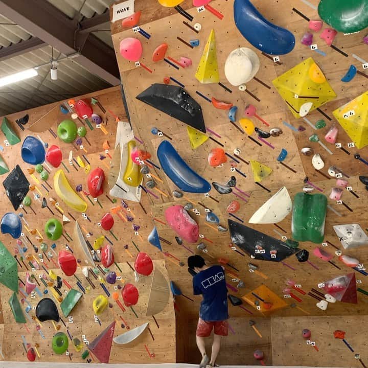 石松大晟のインスタグラム：「・﻿ 今日は初のWalrusへ @climbinggym_walrus ﻿ ﻿ ジム内はとても明るくて綺麗で居心地が良かった💯﻿ 難しい課題もたくさん合ってかなり楽しめました👏﻿ ﻿ @gontexofficial ﻿ @thoufun_official ﻿ @mudhand_cb ﻿ @lasportivajp ﻿ @hokoru856 ﻿ #climbing #bouldering #walrus #climbing_videos_of_instagram ﻿ #bouldering_videos_of_instagram ﻿ #クライミング #ボルダリング #スポーツクライミング #ウォルラス」