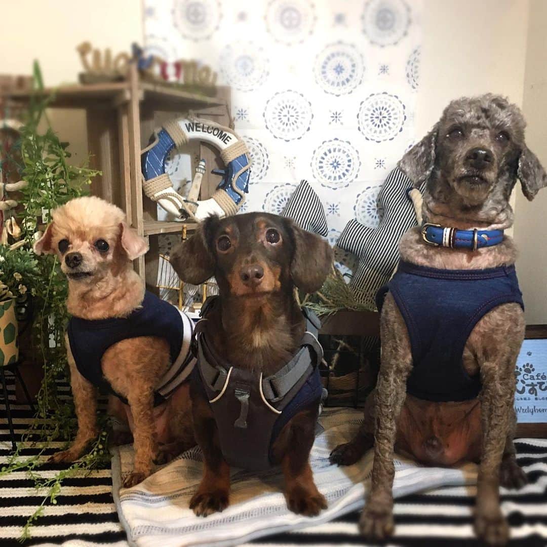 佐藤円香のグルメインスタ