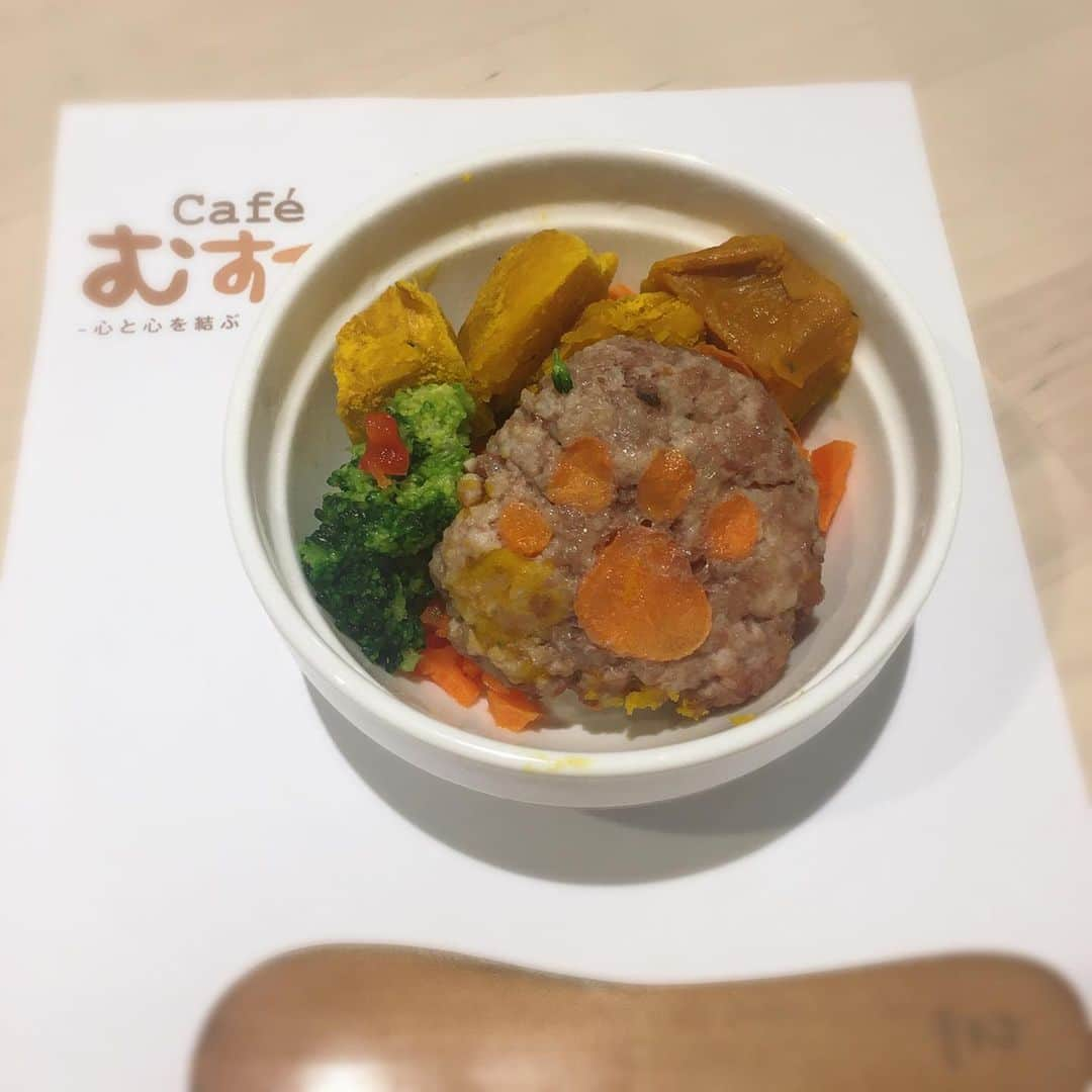 佐藤円香さんのインスタグラム写真 - (佐藤円香Instagram)「カフェむすびさんに行ってきました☕✧ むすびスペシャルデリプレート、美味しかった〜😋🐾 わんちゃん用のハンバーグとジェラートを3匹でシェアして食べました🥰  #犬 #いぬ #いぬすたぐらむ #いぬのきもち #いぬバカ部 #いぬばか #いぬ部 #いぬばか部 #いぬら部 #犬なしでは生きていけません会 #犬バカ #jun #🐩 #トイプードル #개 #토이푸들  #ドッグカフェ #むすび」8月8日 21時13分 - madoka.p.j.614