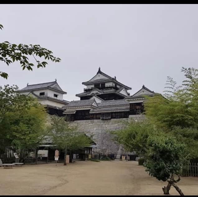 ミュウのインスタグラム：「全肉祭in松山城  開催日程変更のお知らせ： ２０２０年９月２６日（土）〜２７日（日） ２日間連続　　２日間 50,000 円 →　２０２１年 ５月１日（土）～５月３日（月） ３日間連続 出店料金 ３日間 90,000 円  開催時間 １０：００～２１：００  保健所からの連絡により🏯  主催者様より以下 役所から連絡があり、 コロナ影響により８月に本来、入場無制限となるので ９月の開催は問題なしという事だったのですが、 その規制が強められ、８月も５０００人集客までとなり９月に緩和される見込みもないという事で 当イベントで５０００人の入場制限では少なすぎる為、開催日を延期させて頂く事となってしまいました。  開催日は ２０２１年　５月１日～５月３日の３日間 １０：００～２１：００  との事です。弊社としましても残念ではありますが、来年開催へのご出店のご検討をお願い致します 詳しくはサイトにて。 よろしくお願い致します  #全肉祭 #出店情報 #イベント #飲食 #キッチンカー #屋台 #和っしょいJAPAN」