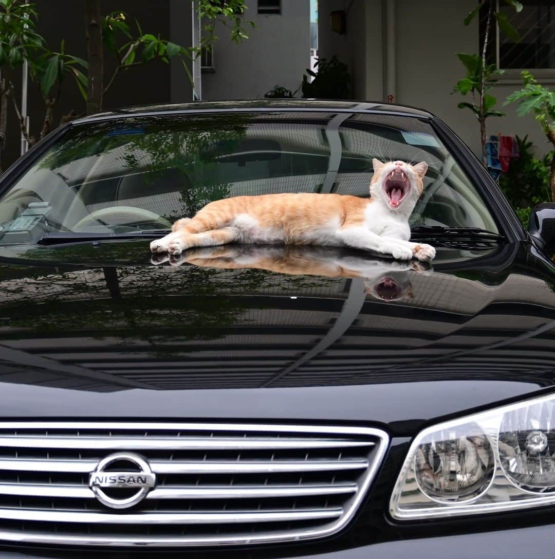 Nissanのインスタグラム