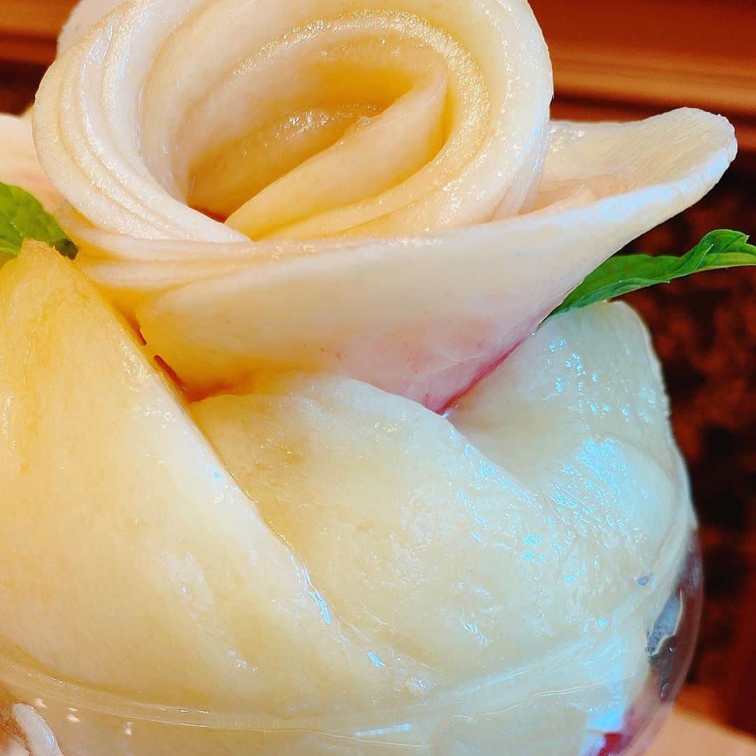 里井真由美さんのインスタグラム写真 - (里井真由美Instagram)「#peach #parfait #yokohama 🍑🌹白桃♡ぽってり♡ふんわり 薔薇のようなパフェでございます〜 ・ ・ みずみずしい桃もも〜🍑🍑 もも花びらは とぅるんっとした食感、周りのカット桃は食べ応えありジューシー☺️中はゼリーやアイス、生クリームで パフェとしての甘さもあり大満足な桃パフェ♡ ・ ・ 桃って皮むいた瞬間から 変色しますよね、それをこんなに美しく丁寧に薔薇に仕上げるって、さすがプロの技♡ ・ ・ 横浜 水信パーラーさんの新メニュー🍑🌹です @mizunobu_fruitparlor  ・ ・ #mizunobufruitparlor #横浜水信#水信フルーツパーラー #桃#桃活#モンブラン里井真由美#里井真由美#フードジャーナリスト里井真由美 #ありが糖運動 #さといいね#横浜#パフェ#フルーツパフェ#パーラー#フルーツパーラー#果物#モンブラン」8月8日 22時07分 - mayumi.satoi