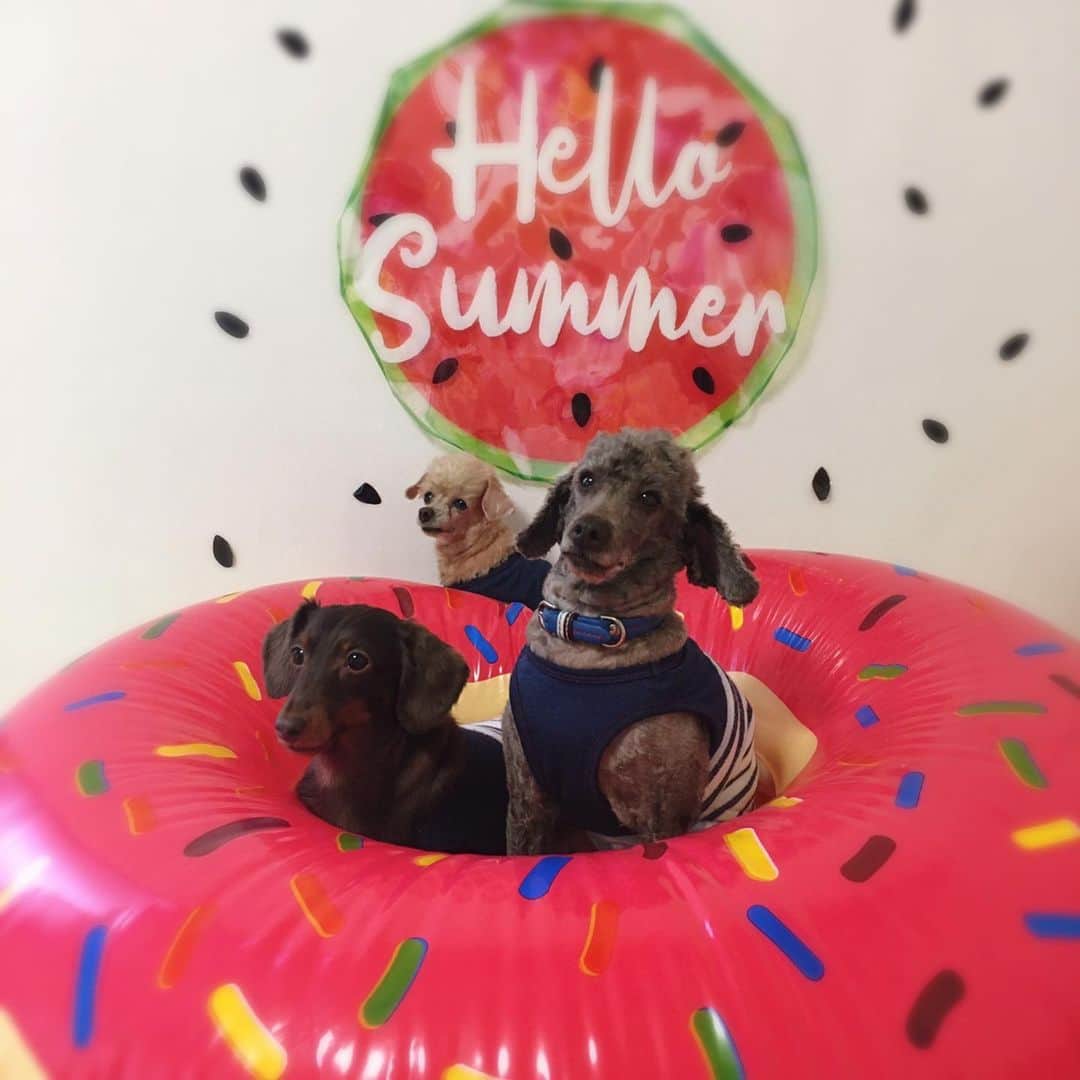 佐藤円香のグルメインスタ