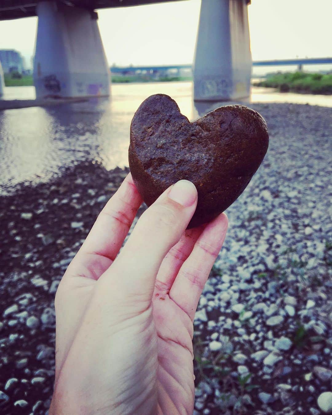 のインスタグラム：「撮影で川底を掘ってたら、愛がでてきた！ひゅー。見事な愛の形。 でえたらぼっちの心臓かもとのことでそっと底に戻しておきました。」