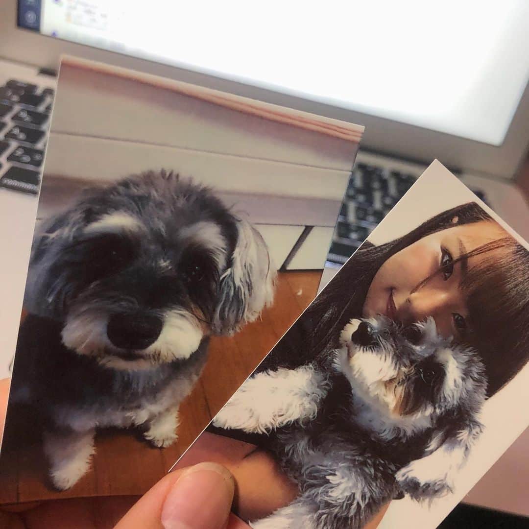 今井胡桃のインスタグラム：「Happy Birthday 🌼🐾」