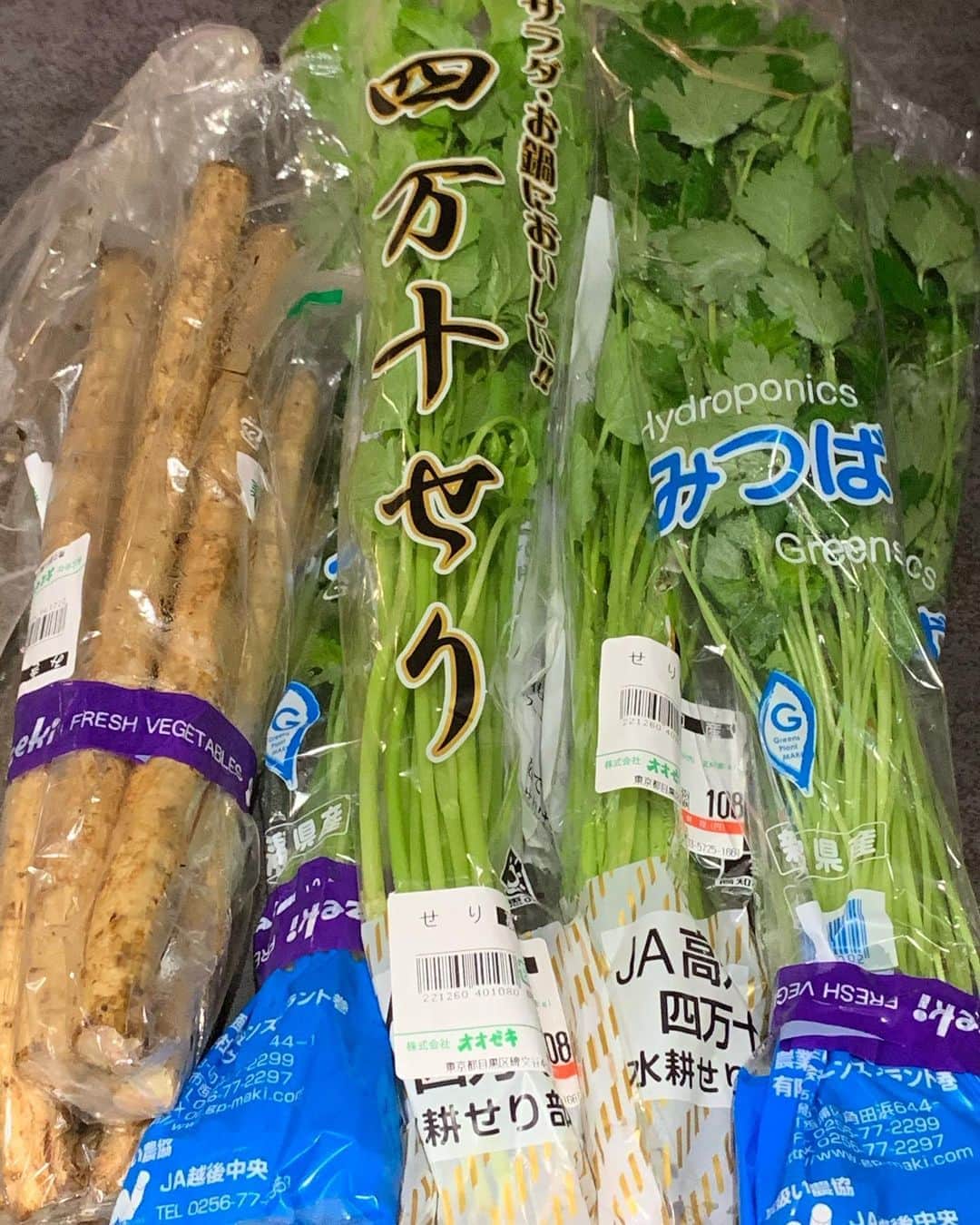 橋本志穂さんのインスタグラム写真 - (橋本志穂Instagram)「葉物は高いけど 水耕栽培の三つ葉とセリが お買い得でした。  今日の野菜鍋は 夢に出てきたセリとゴボウの鍋にしようと 買い物に行ってきたのでした。」8月8日 22時37分 - shihohashimoto3