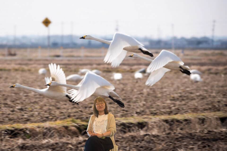 吉住のインスタグラム