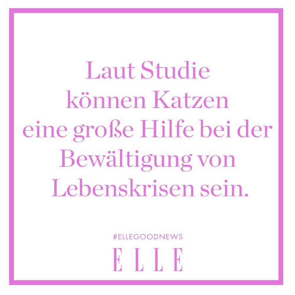 ELLE Germanyのインスタグラム