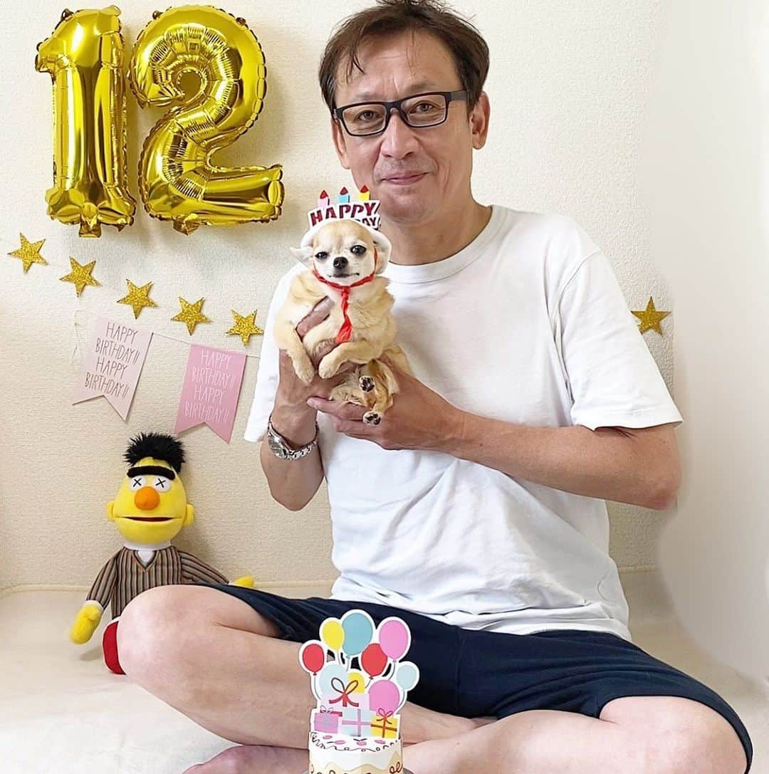 長原成樹さんのインスタグラム写真 - (長原成樹Instagram)「とうとう文江さん12歳になりました🎂㊗️ あっという間の12年やね。 これからもよろしくね😊 #長原成樹　#チワワ」8月8日 23時13分 - seikigaoooo