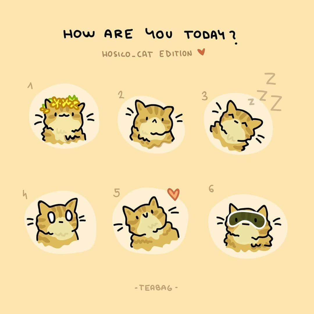 Hosicoさんのインスタグラム写真 - (HosicoInstagram)「How are you today? 1, 2, 3, 4, 5 or 6? 😉 Thank you @teabag.cartoon」8月8日 23時34分 - hosico_cat