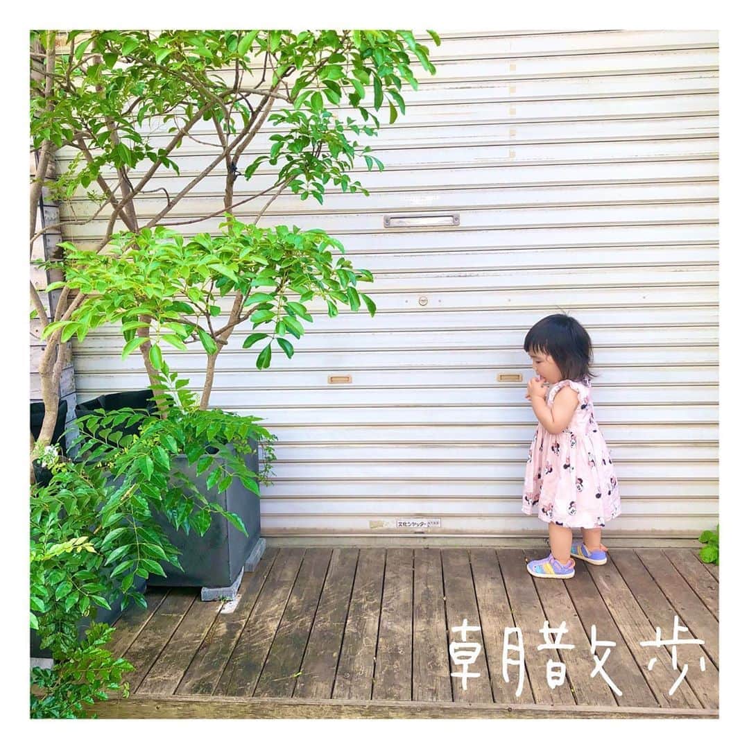 mamamizu.32さんのインスタグラム写真 - (mamamizu.32Instagram)「ひそかにがんばってること﻿ ﻿ ﻿ そ　れ　は　！﻿ ﻿ ﻿ ﻿ 朝活です！﻿ ﻿ ﻿ ﻿ 朝いいね！！ 涼しいし空気澄んでるし １日長く感じるし、 いいことだ😳❤️﻿ ﻿ ﻿ ﻿ ゆっちゃんも基本は8〜9時起き﻿ そんな遅くはないけどやっぱり１日を長く﻿ 有意義にすごしたいし、リズム整えるのも﻿ 大事な子育てのひとつなので、﻿ ﻿ ﻿ 7:00〜7:30に起きるのを目標に日々﻿ がんばってます！﻿ ﻿ ﻿ でもわたしの夕方の睡魔が。。。﻿ ﻿ ﻿ 早寝早起きは三文の徳！﻿ ﻿ ﻿ ﻿ ﻿ さぁ明日もがんばろー🥺﻿ ﻿ ﻿ ﻿ ﻿ ﻿ #朝活﻿ #朝弱すぎる人間﻿ #学生時代は遅刻の常習犯 #低血圧﻿」8月8日 23時35分 - _____.m32yy