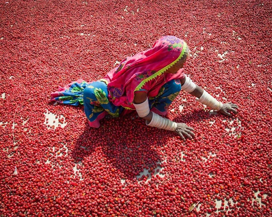 TED Talksのインスタグラム：「When we say RED 🔥  HOT🌶  CHILI 🥵  PEPPERS, this is what we mean. With his captivating images, Pakistani photographer Danial Shah is spotlighting sides of his home country — its diverse cultures, crafts, landscapes — that are typically ignored by media, even within Pakistan. Indeed, on his first trip, Shah was stunned. “I saw a different Pakistan,” he says. “I realized how misinformed I was about my own country.” Here, a woman in a farming family is arranging their chili harvest to be dried outdoors. The peppers take in the sun for four to five days before they're ready to be sold, crushed or whole. To see more Pakistani treasures, like a zipline river-crossing and breath-taking glaciers, head to the link in our bio.」
