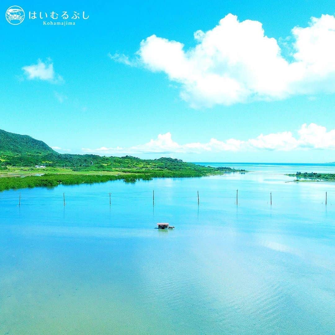 HAIMURUBUSHI はいむるぶしさんのインスタグラム写真 - (HAIMURUBUSHI はいむるぶしInstagram)「小浜島・はいむるぶしから癒しの風景をお届けします。 八重山諸島を代表する景勝地の一つ「由布島」。 西表島から水牛車に揺られながら、三線の音色を聞きながら海を渡って行きます。 #沖縄 #八重山諸島 #由布島 #西表島 #水牛車 #小浜島 #リゾート #ホテル #はいむるぶし」8月9日 0時05分 - haimurubushi_resorts