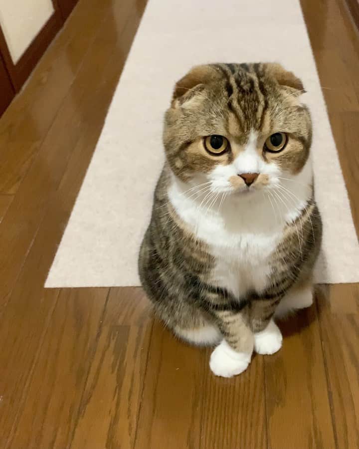 yayoi89のインスタグラム