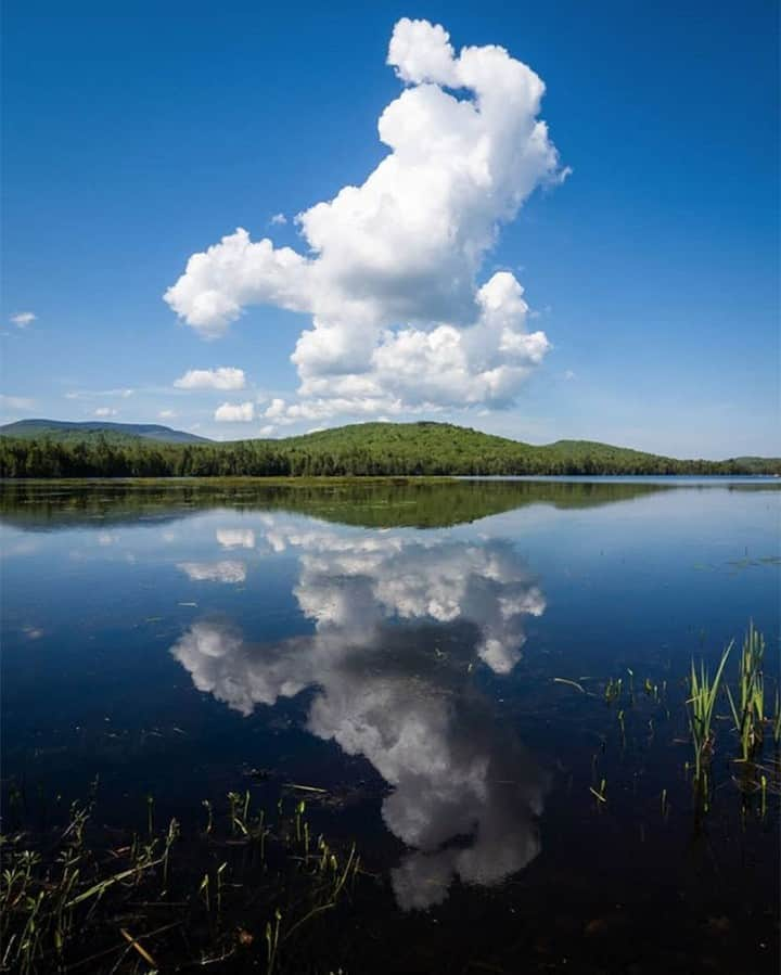 L.L.Beanさんのインスタグラム写真 - (L.L.BeanInstagram)「Binge-watching these clouds until the sun goes down. #BeanOutsider (📷: @steffophotography)」8月9日 0時42分 - llbean