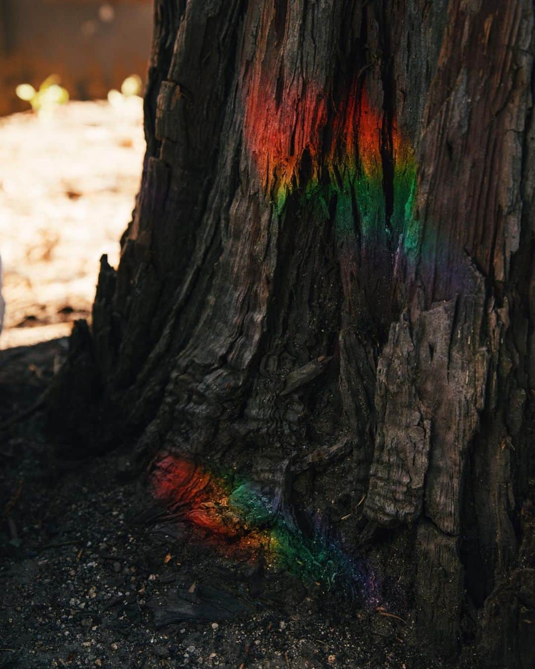 ローレン·ランドルフのインスタグラム：「Look at this rainbow I saw on my birthday.」
