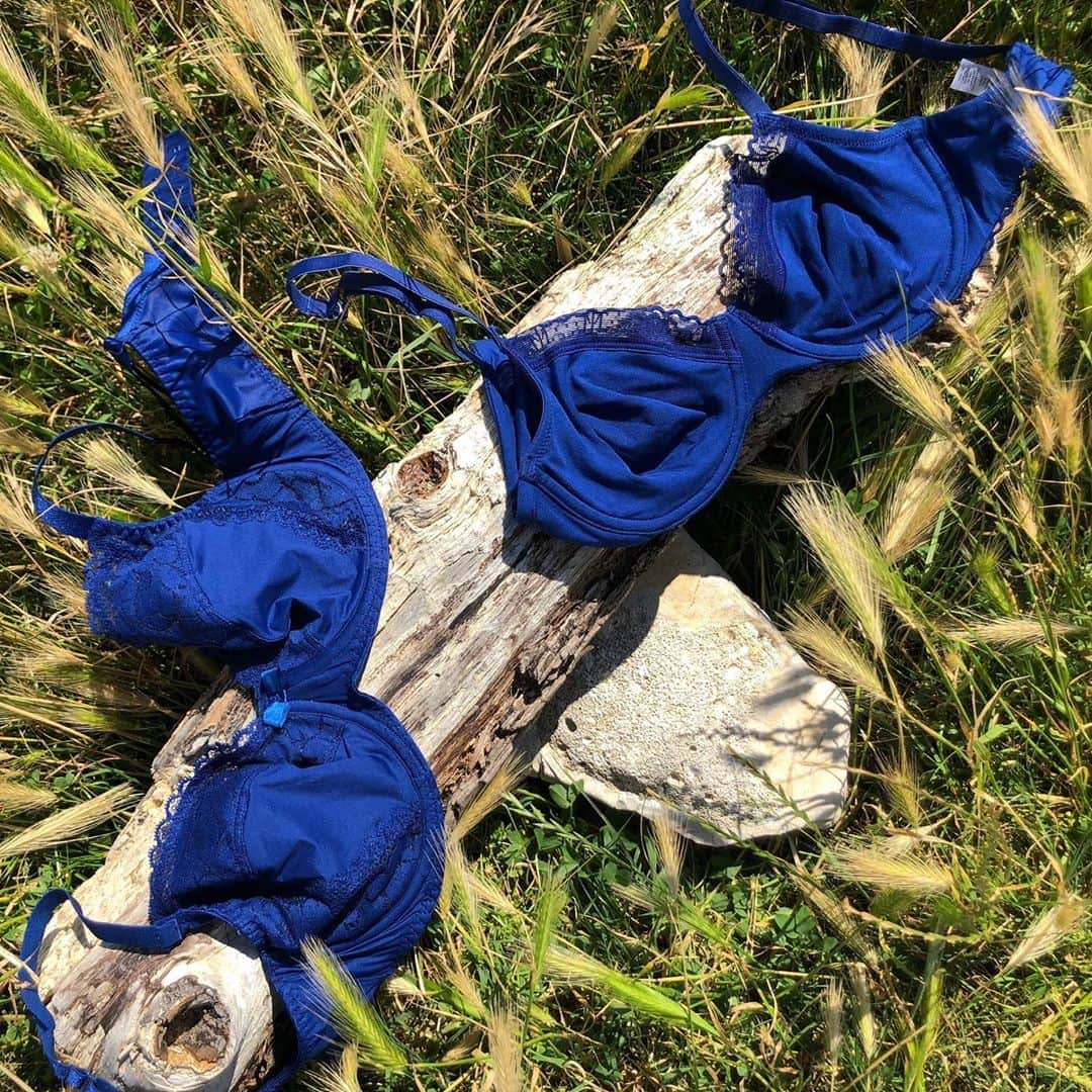 レジャビーのインスタグラム：「Bleu royal : audacieux & estival —— we never get tired of blue #lapetitelejaby #camelia #maisonlejaby #lingerie #bleu #blue #soieroyale」