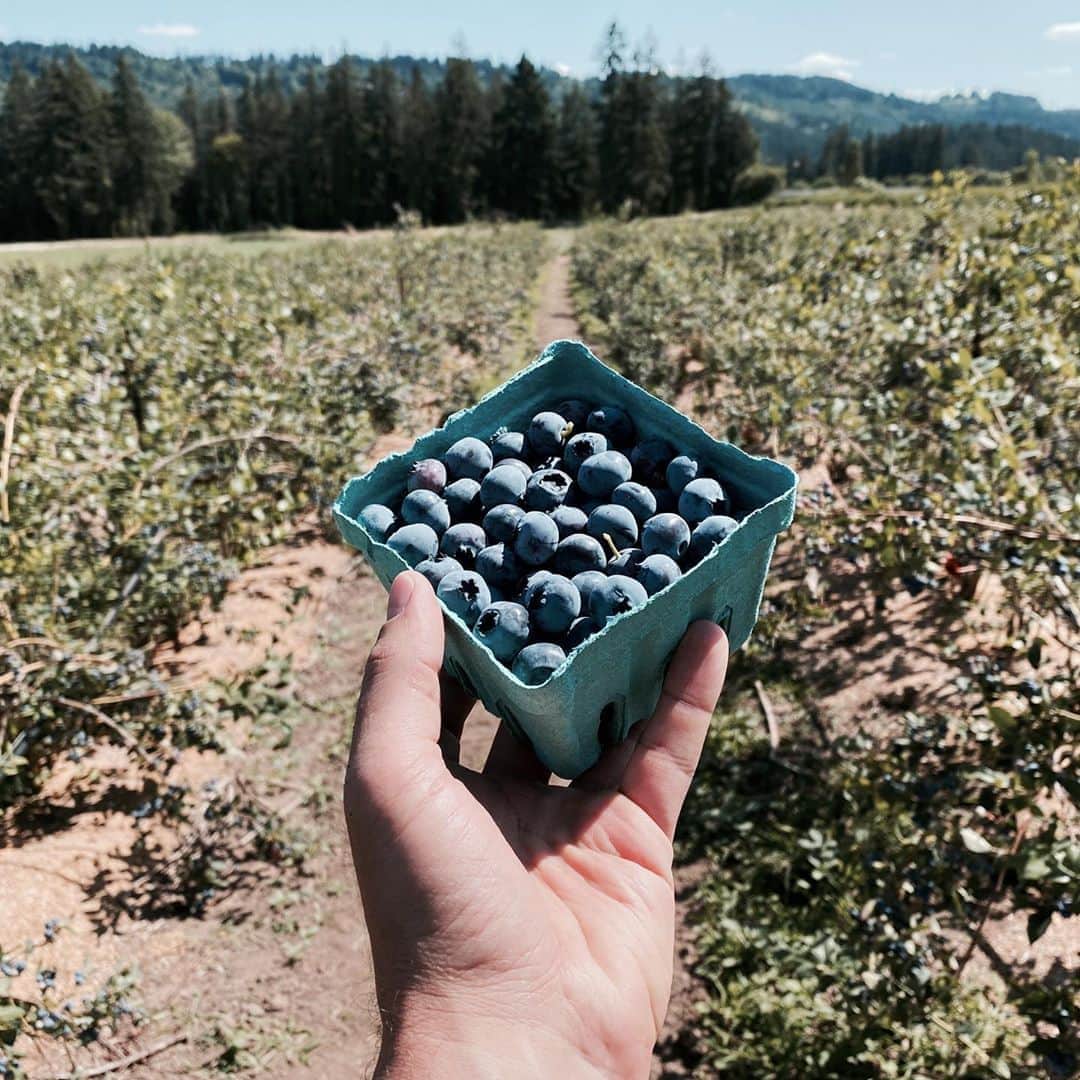 マイロ・ヴィンティミリアのインスタグラム：「Favorites. McMinnville, OR. MV」