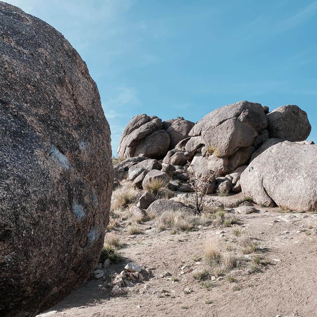 マイロ・ヴィンティミリアのインスタグラム：「ABQ, NM. MV」