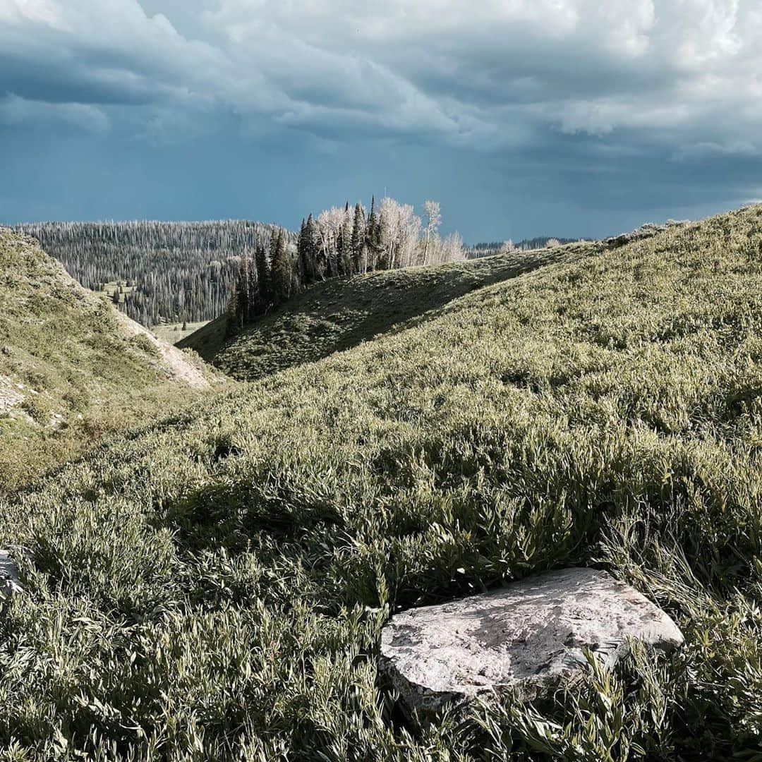 マイロ・ヴィンティミリアさんのインスタグラム写真 - (マイロ・ヴィンティミリアInstagram)「Heber Mtn, Utah. MV」8月9日 12時29分 - miloanthonyventimiglia