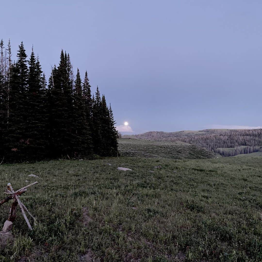 マイロ・ヴィンティミリアのインスタグラム：「Heber Mtn, Utah. MV」