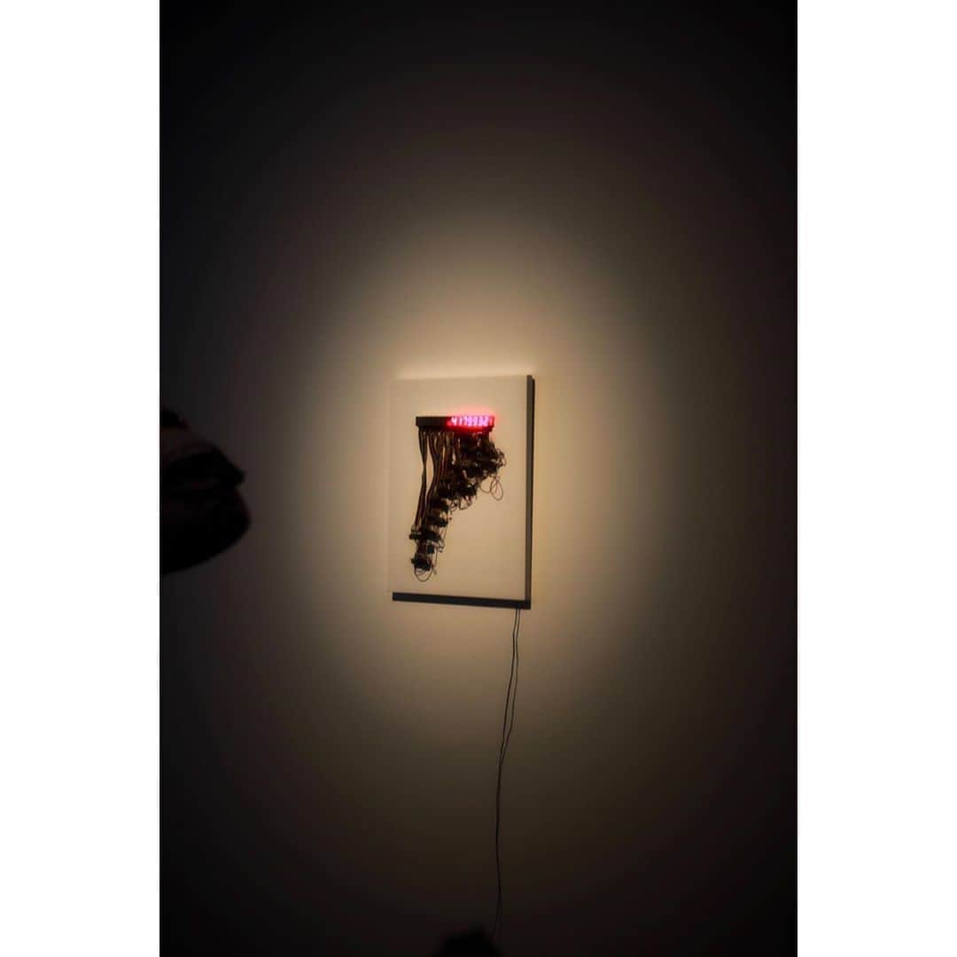坂東希さんのインスタグラム写真 - (坂東希Instagram)「いつしかのわたし STARS展に行った時。 スターだらけで圧巻だった。🤯 最後の私は仕事できそうな 雑誌の編集さんみたいなの😂 #坂東の散歩」8月9日 12時34分 - nozomibando_official
