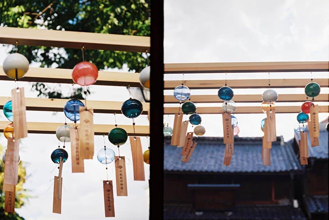田島貴男さんのインスタグラム写真 - (田島貴男Instagram)「暑中お見舞い申し上げます🎐 夏らしい日ですな。でも暑さは峠を越えたような。 水分とって風にあたって良い夏の時間を〜。  #フィルムカメラ #penf #ektar100」8月9日 12時41分 - tajimatakao
