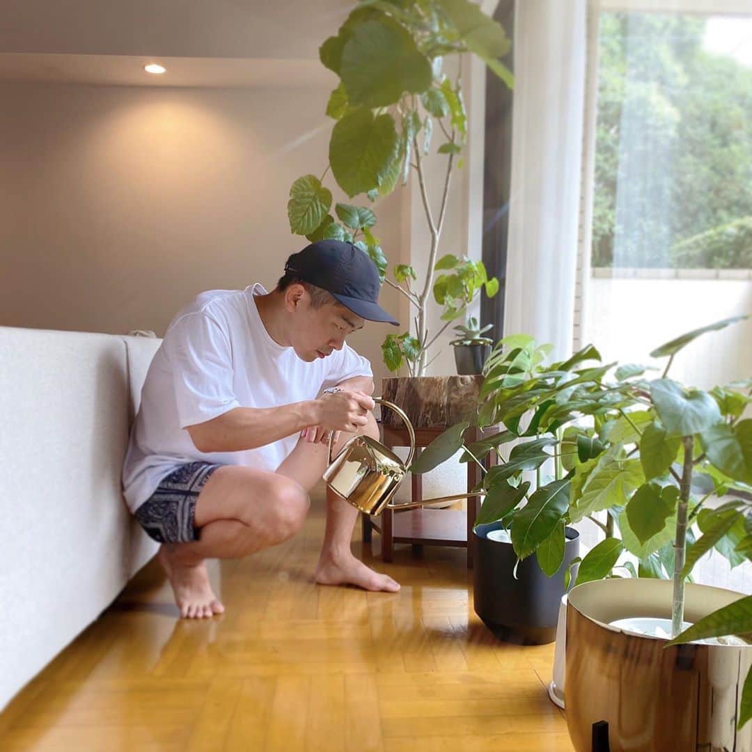 近藤千尋のインスタグラム：「ネタ書いてる時と植物にお水を あげている時だけ 真剣なひーぼぉくん🌿😍笑 窓側に並べて日光浴気持ち良さそう〜✨✨  いつもぶつぶつ言ってるとおもったら 植物とお話ししてる彼😃 もう慣れた❤️笑」
