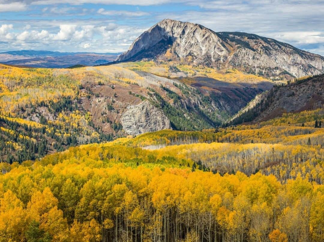 National Geographic Travelさんのインスタグラム写真 - (National Geographic TravelInstagram)「Photo by @michaelclarkphoto  Golden aspens are seen from an overlook on the Horse Ranch Park Loop on Kebler Pass above Crested Butte, Colorado. #colorado #keblerpass #aspens」8月9日 13時09分 - natgeotravel