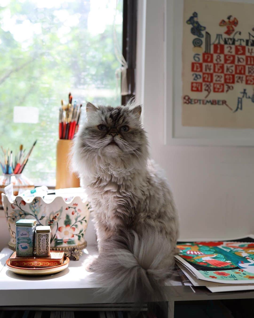 Dinara Mirtalipovaのインスタグラム：「Did you know, it’s International Cats Day today! 😻 This is my Persian fur ball Matilda, she’s 14 years old, older than my daughter Sabrina lol)) I got her for Sherzod’s birthday when we moved to the US.  A few fun facts about Matilda: - I named her “Matilda” after a cat character from an old soviet cartoon called “Karlson on the roof” (“Карлсон который живет на крыше») - Matilda always looks grumpy, but she’s very sweet.  - Unlike most cats, Matilda doesn’t crave much of interactions with humans, she just likes to be in the same room with us, but never touched or hugged. And we respect that!  - She can’t really properly meow and the sound that comes out of her is more like a duck quacking and for that reason we make fun of her all the time 😸 - She is very furry and loves to be brushed. A lot! Sometimes she chases us down and touches our heels asking us to brush her and that gives her ultimate pleasure ))) - Every summer she gets a haircut - She’s a picky eater and prefers fish, mostly salmon pate.   #matildamycat」